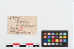 Etikett zu Bronzespiralröhrchen (NHMW-PRAE-023920)